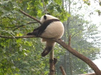 2009 China 1363